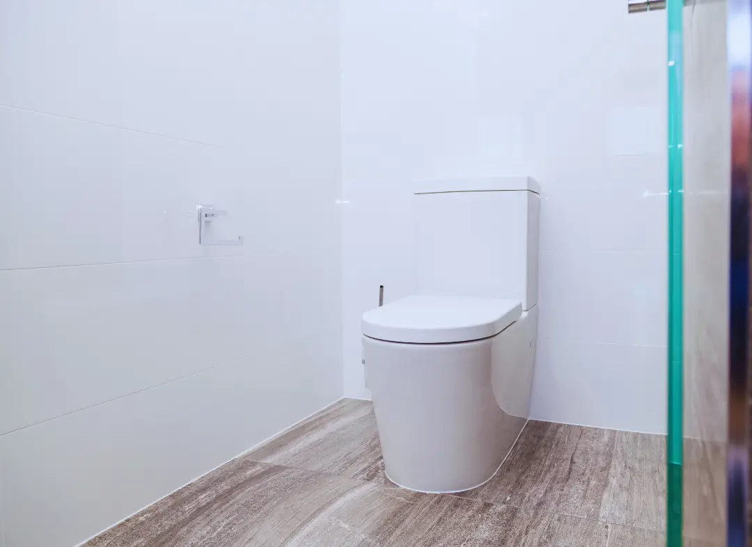 Remplacement de wc Aucamville