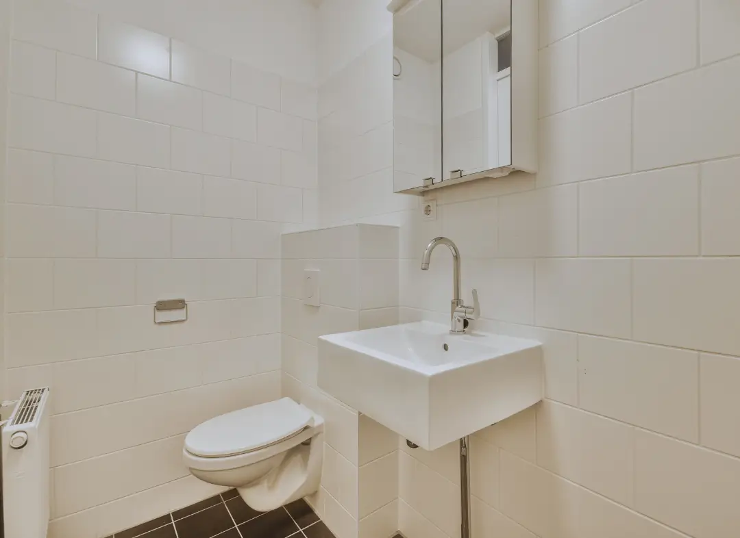 Pose WC Suspendu Aucamville